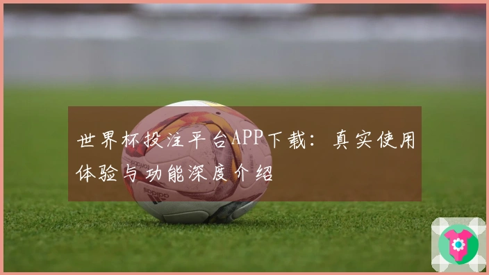 世界杯投注平台APP下载：真实使用体验与功能深度介绍