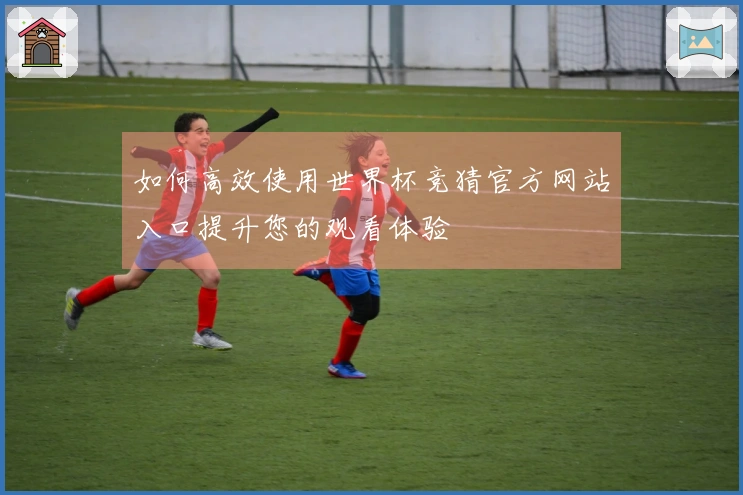 如何高效使用世界杯竞猜官方网站入口提升您的观看体验