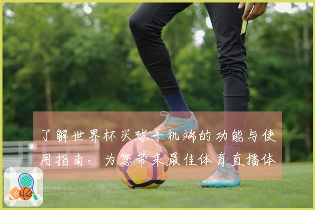 了解世界杯买球手机端的功能与使用指南，为您带来最佳体育直播体验