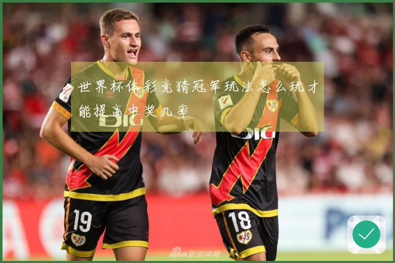 世界杯体彩竞猜冠军玩法怎么玩才能提高中奖几率