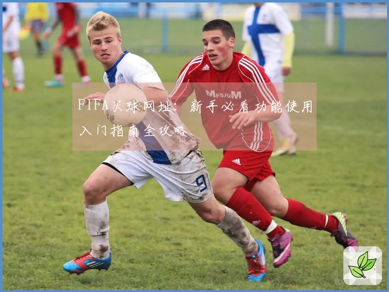 FIFA买球网址：新手必看功能使用入门指南全攻略