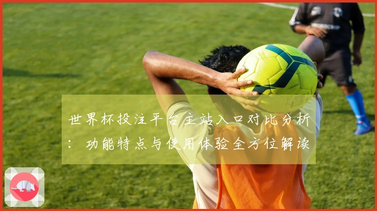 世界杯投注平台主站入口对比分析：功能特点与使用体验全方位解读