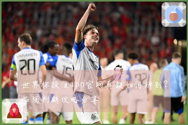 世界杯投注app官网真假如何辨别？临场判断攻略分享