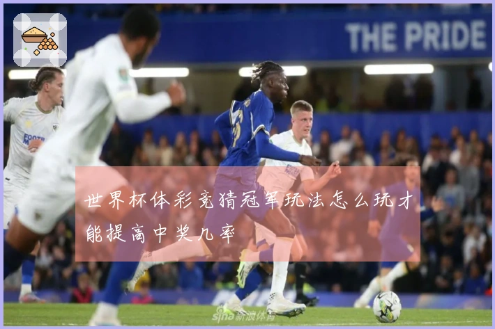 世界杯体彩竞猜冠军玩法怎么玩才能提高中奖几率
