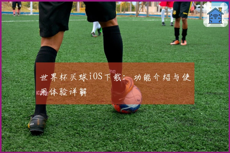 世界杯买球iOS下载：功能介绍与使用体验详解