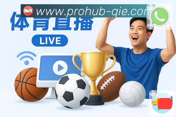 体育平台欢迎图